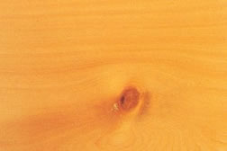 Huon Pine Timber